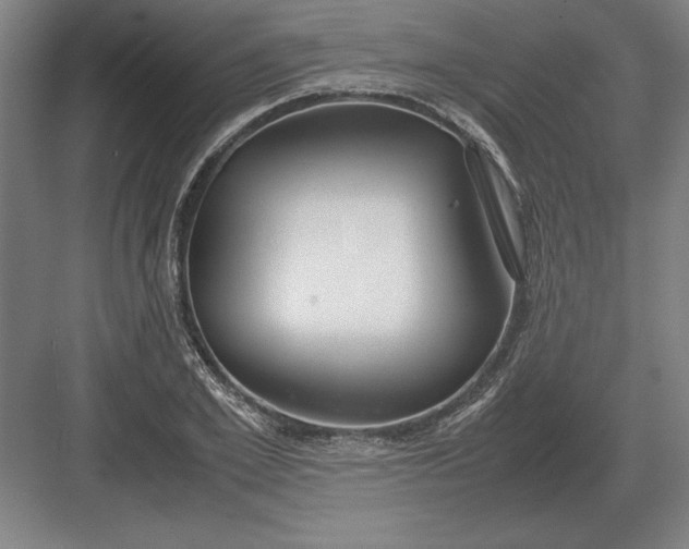 X0000083000981200702160045