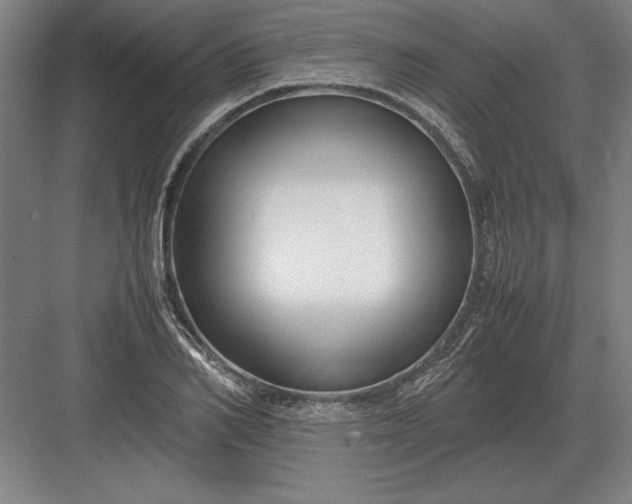 X0000083000982200702160045