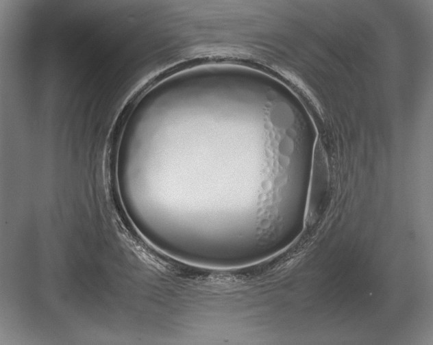 X0000083000983200702160045