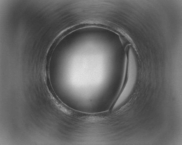 X0000083000984200702160045