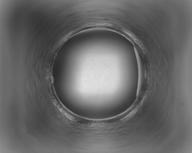 X0000083000985200702160045