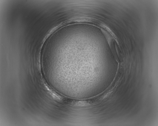 X0000083000986200702160045