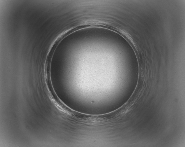 X0000083000987200702160045