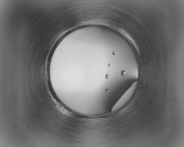 X0000083000988200702160045