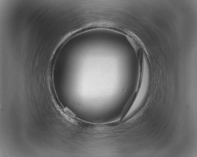 X0000083000989200702160045