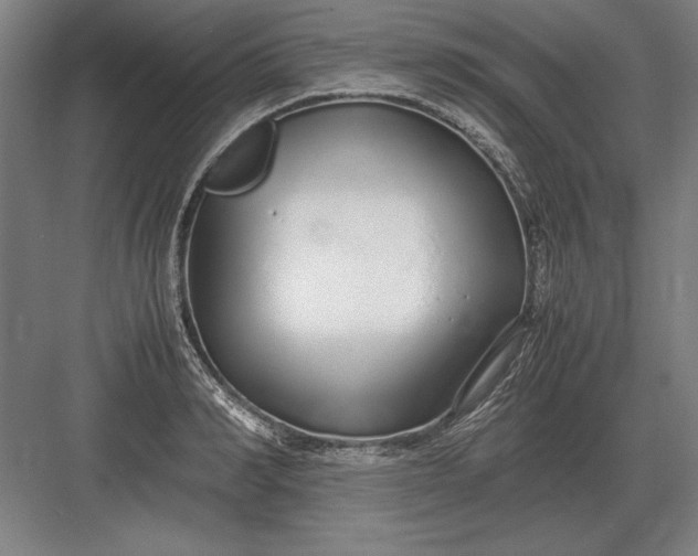 X0000083000990200702160045