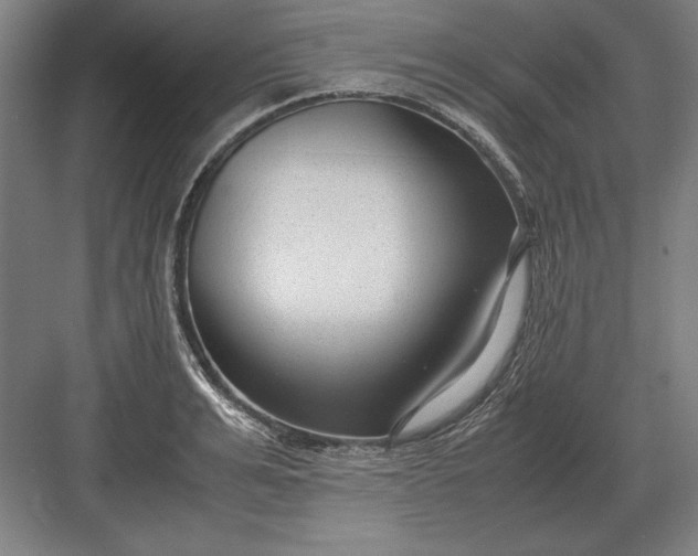 X0000083000991200702160045