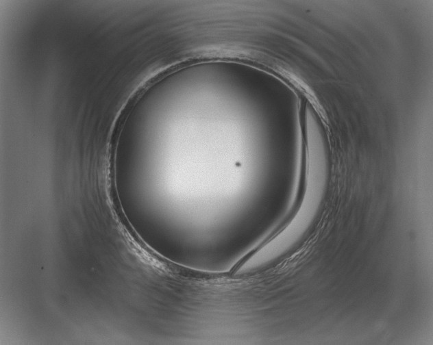 X0000083000992200702160045