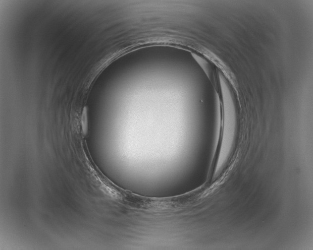 X0000083000993200702160045