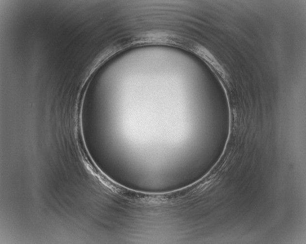 X0000083000994200702160045