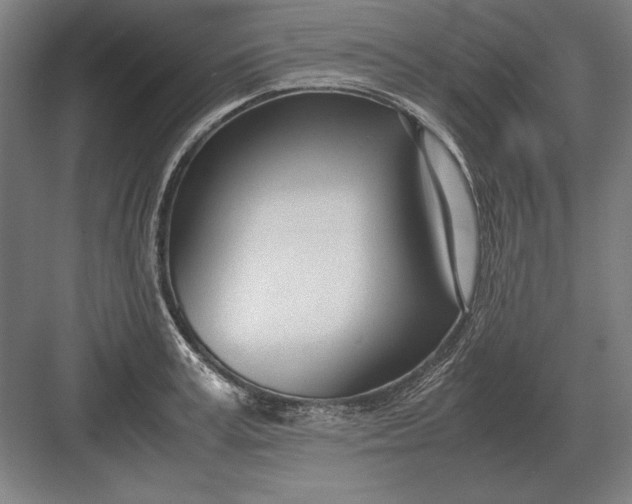 X0000083000995200702160045