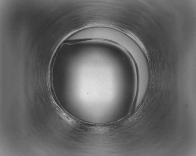 X0000083000996200702160045