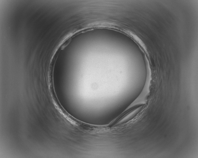 X0000083000997200702160045