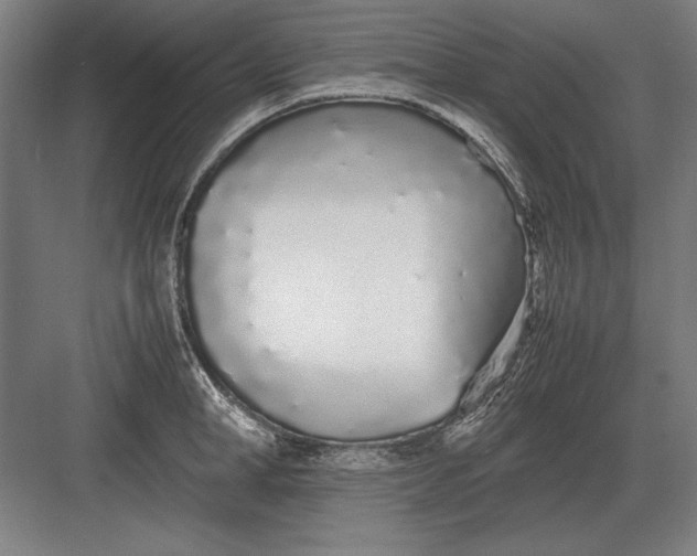 X0000083000998200702160045