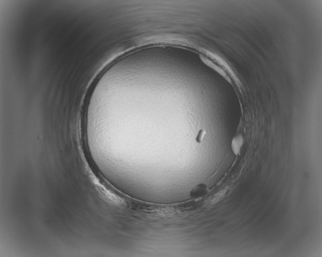 X0000083000999200702160044