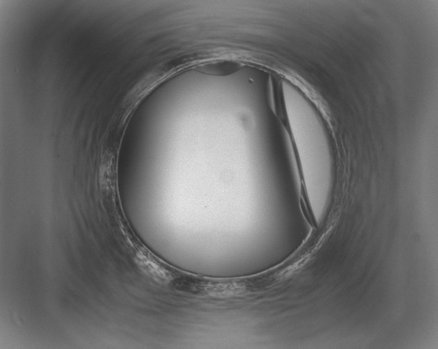 X0000083001001200702160044