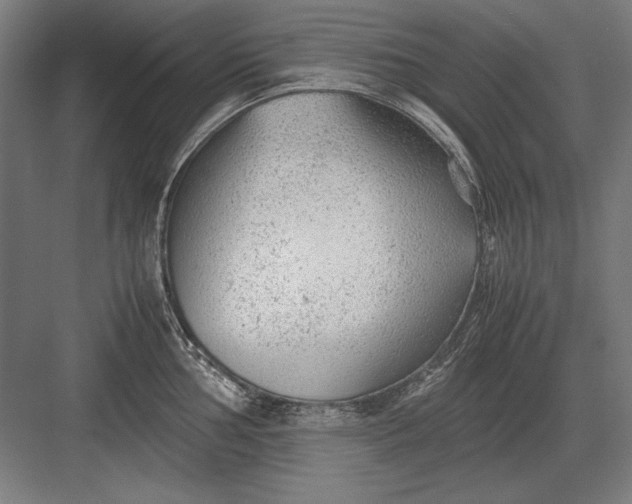 X0000083001002200702160044