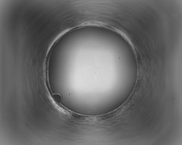 X0000083001003200702160044