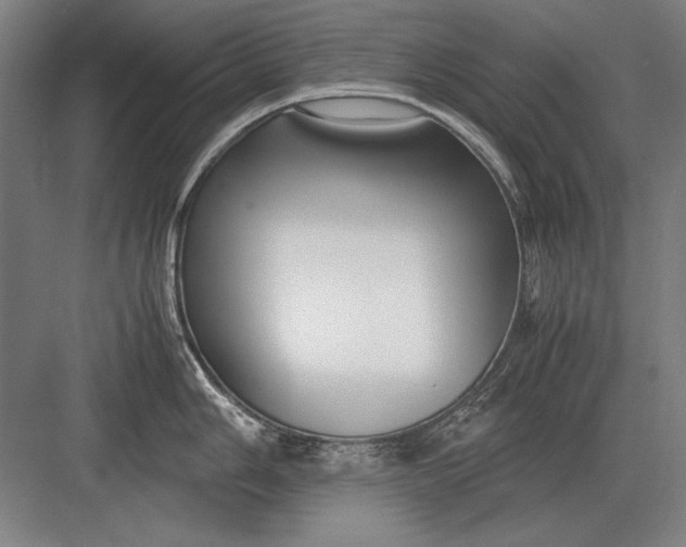 X0000083001006200702160044