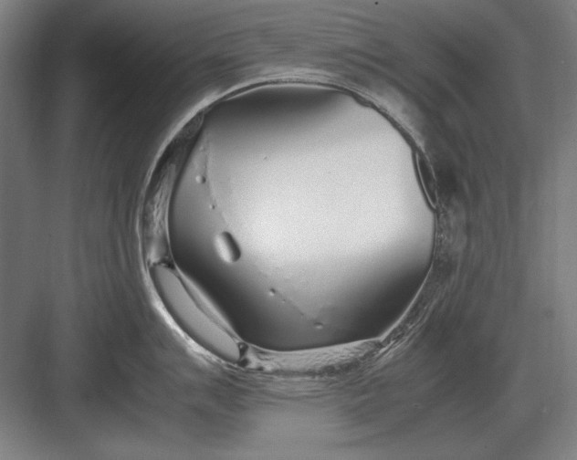 X0000083001007200702160044