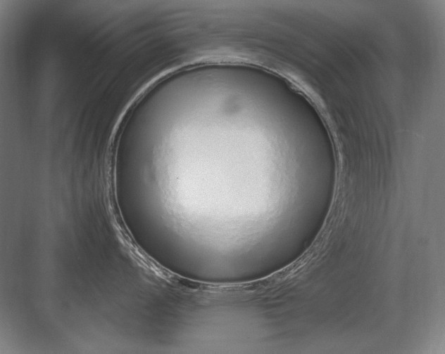 X0000083001008200702160044