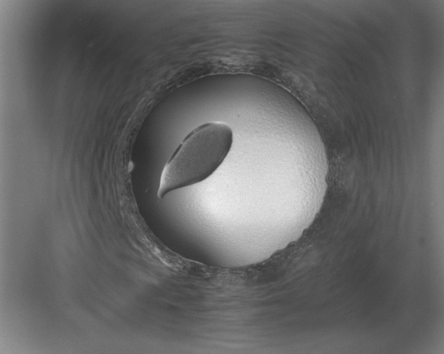 X0000083001009200702160044