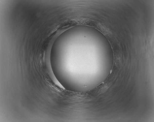 X0000083001010200702160044