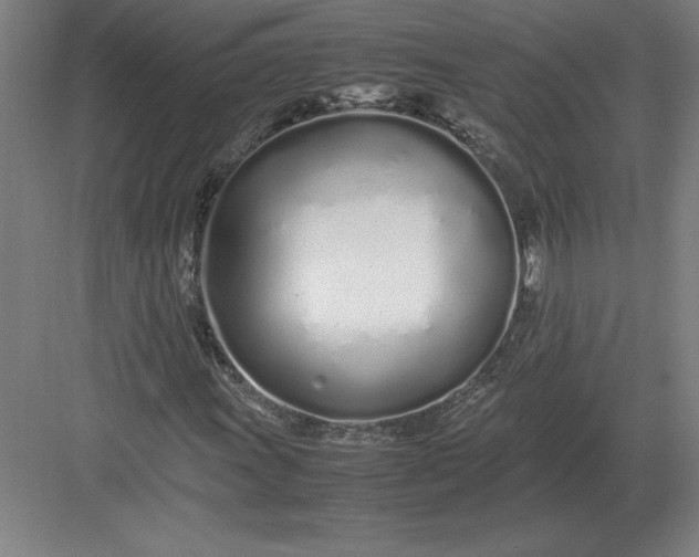 X0000083001011200702160044