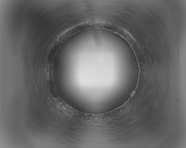 X0000083001016200702160044