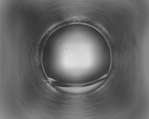 X0000083001018200702160044