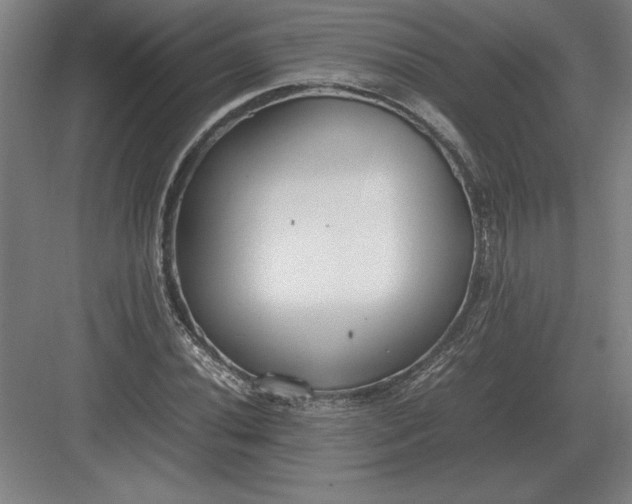 X0000083001020200702160044