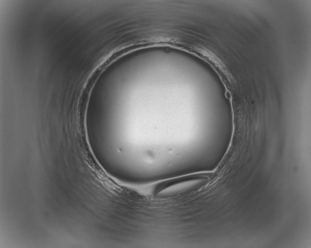 X0000083001023200702160044