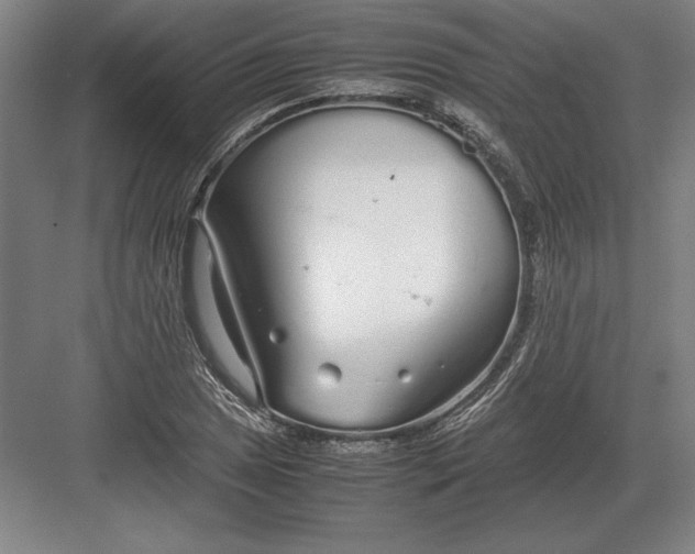 X0000083001025200702160044