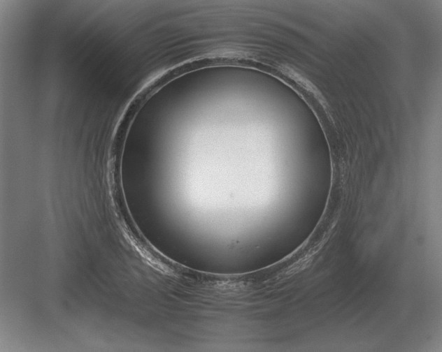 X0000083001029200702160044