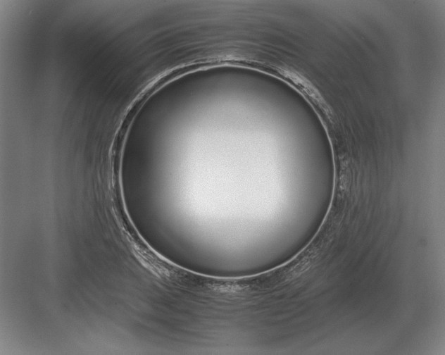 X0000083001031200702160044