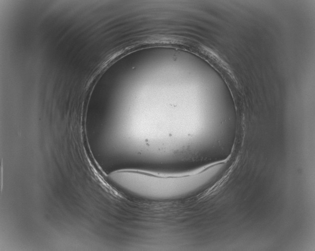 X0000083001033200702160044