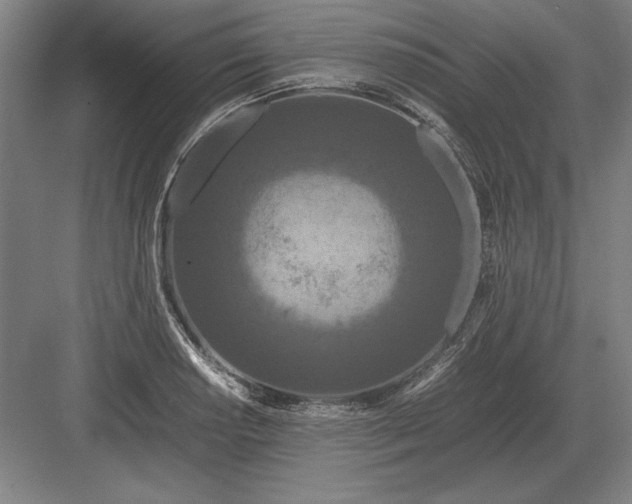 X0000083001034200702160044