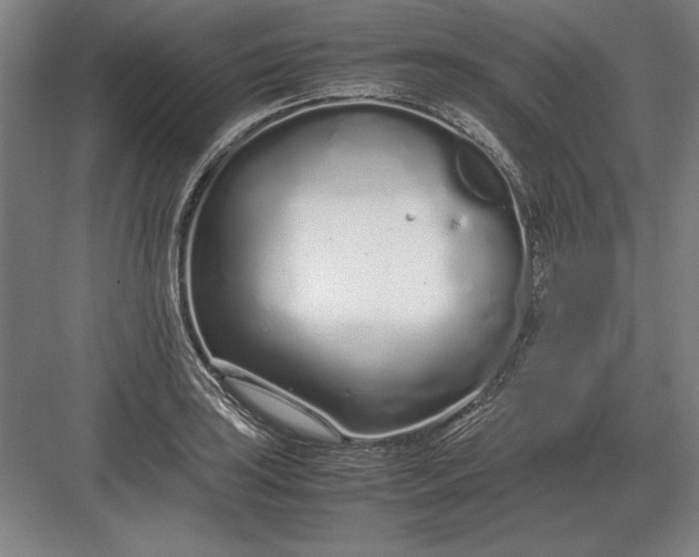 X0000083001035200702160044