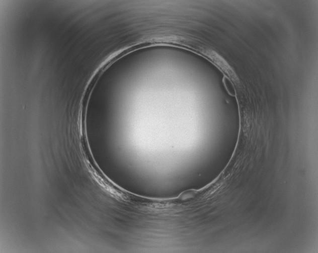 X0000083001036200702160044