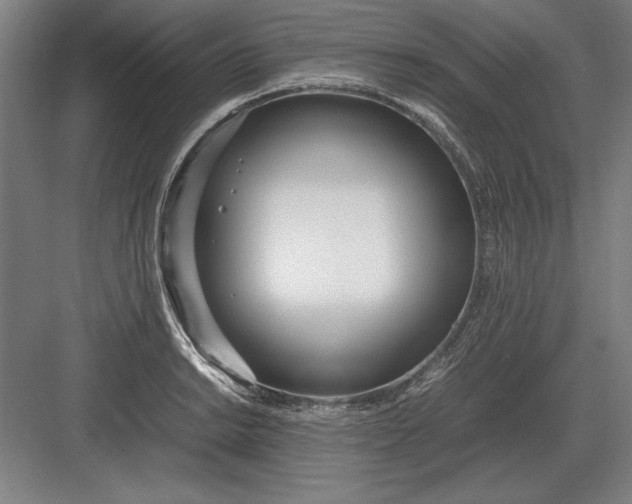 X0000083001038200702160044