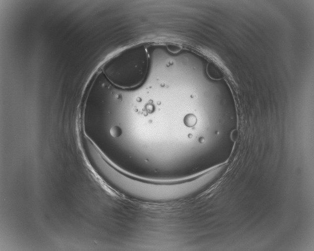 X0000083001040200702160044