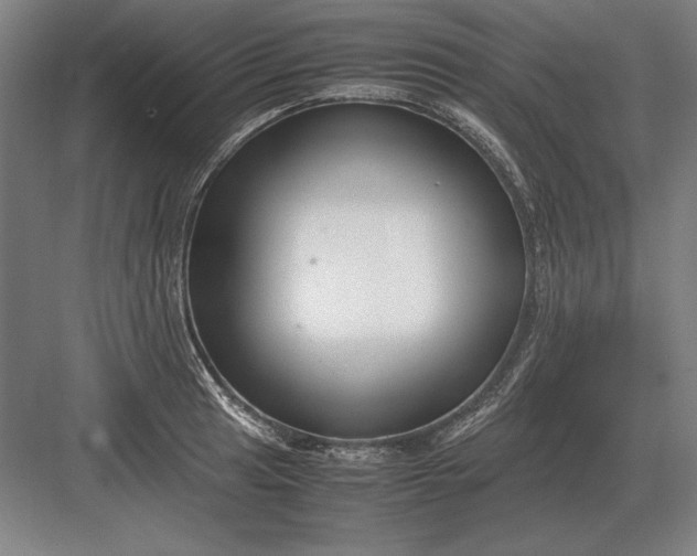 X0000083001041200702160044