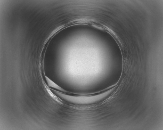 X0000083001042200702160044