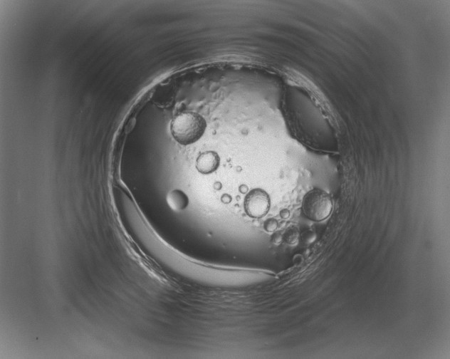 X0000083001043200702160044