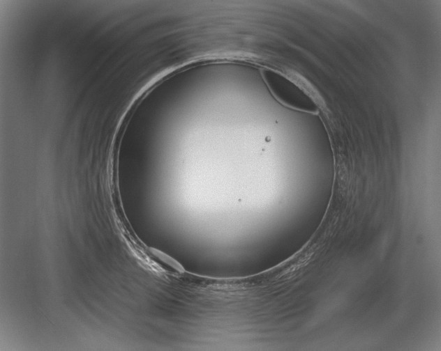 X0000083001044200702160044