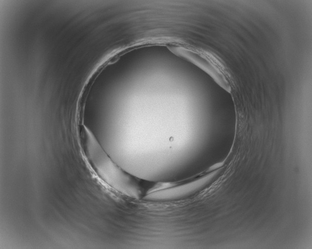 X0000083001046200702160044