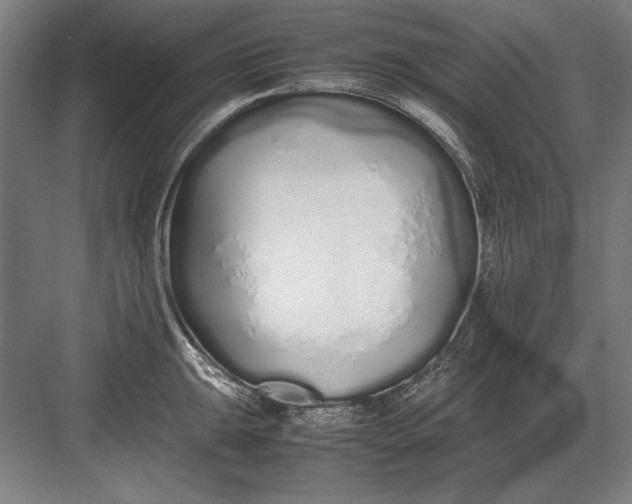 X0000083001047200702160044