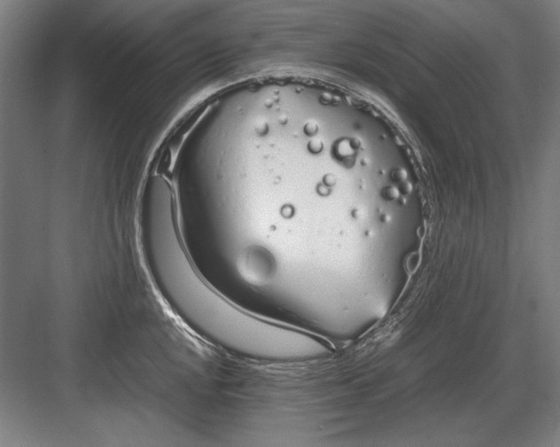 X0000083001048200702160044