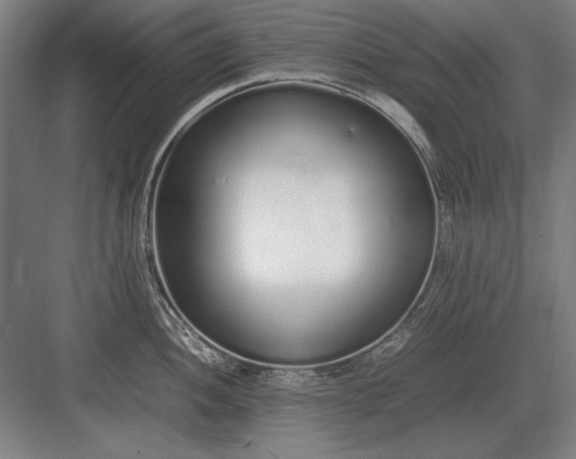 X0000083001052200702160044