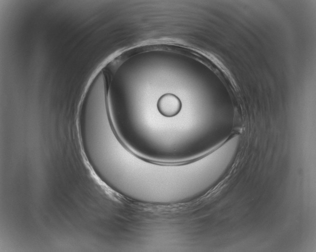 X0000083001054200702160044